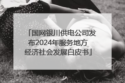 国网银川供电公司发布2024年服务地方经济社会发展白皮书